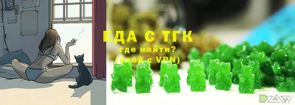 хмурый Мегион