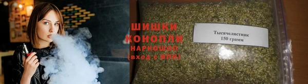 прущие грибы Валуйки
