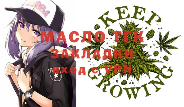 хмурый Мегион