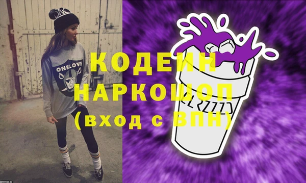 хмурый Мегион