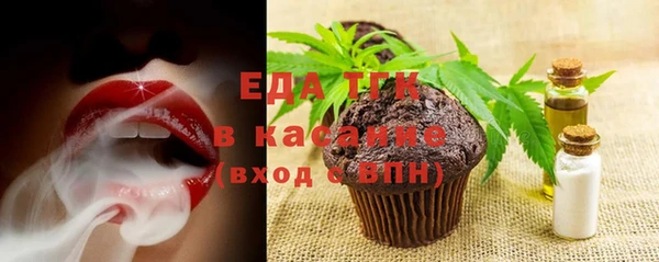 хмурый Мегион