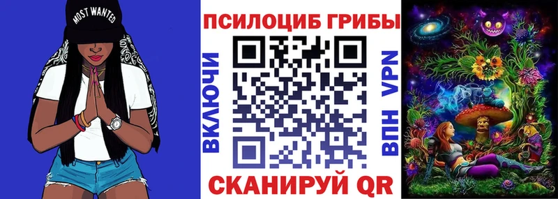 Псилоцибиновые грибы мицелий  купить наркотик  Новопавловск 